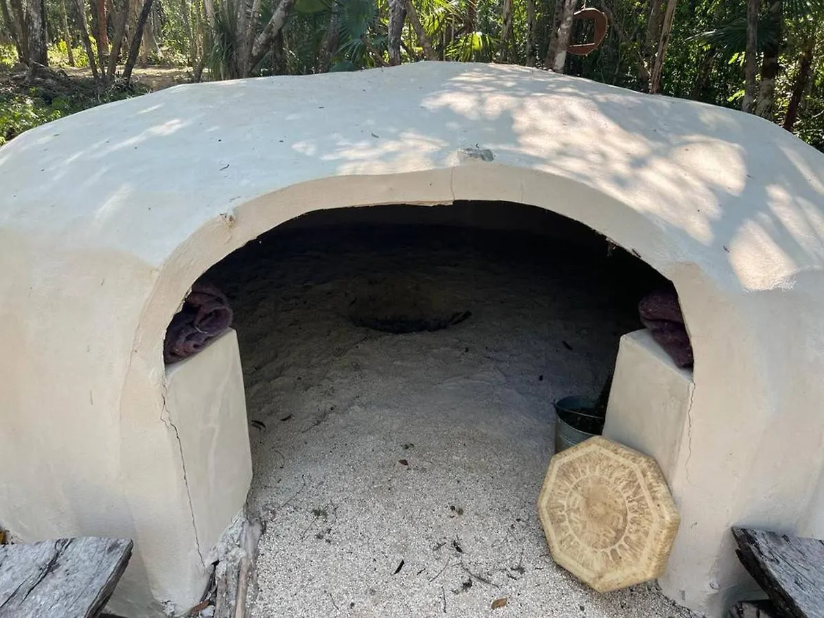 Dome Ha Unique Eco-Luxe Couple Dome Cenote Bikes Apartamento Tulum 0*,  México