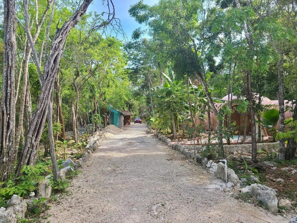 Dome Ha Unique Eco-Luxe Couple Dome Cenote Bikes Apartamento Tulum 0*,